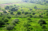 Alojastur. Casas Rurales